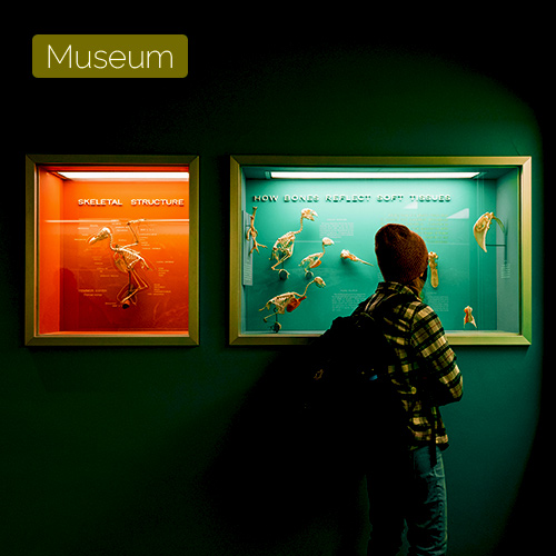 natural history museum of crete